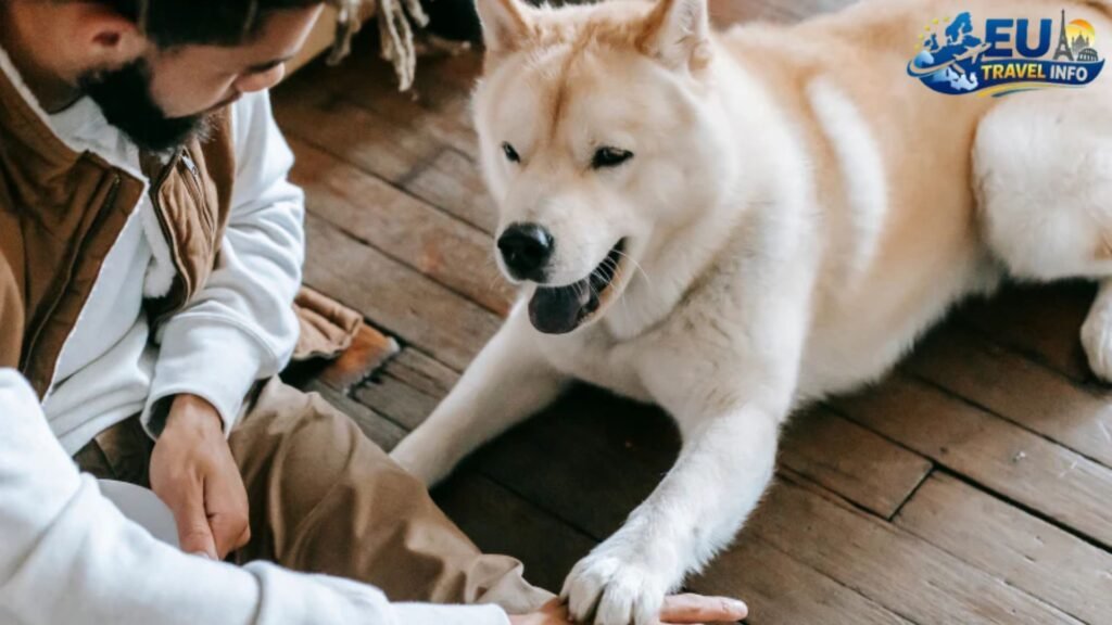 First of All: The Big Paperwork Headache