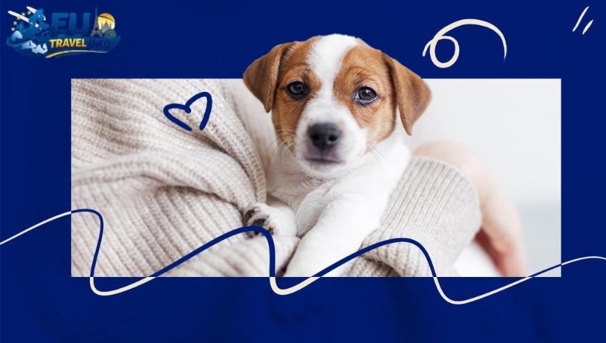 First of all The Paperwork You Need dog (2)