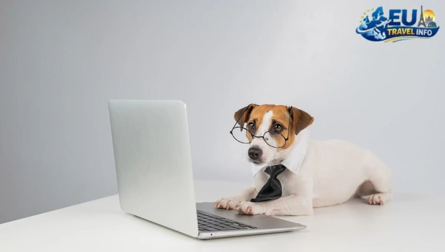 First of all The Paperwork and Travel Rules dog