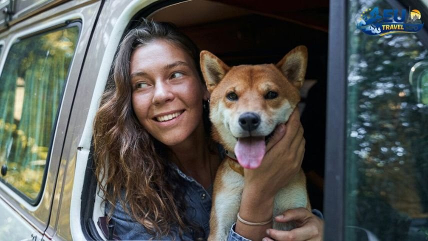 First of all, let us talk about the entry rules dog