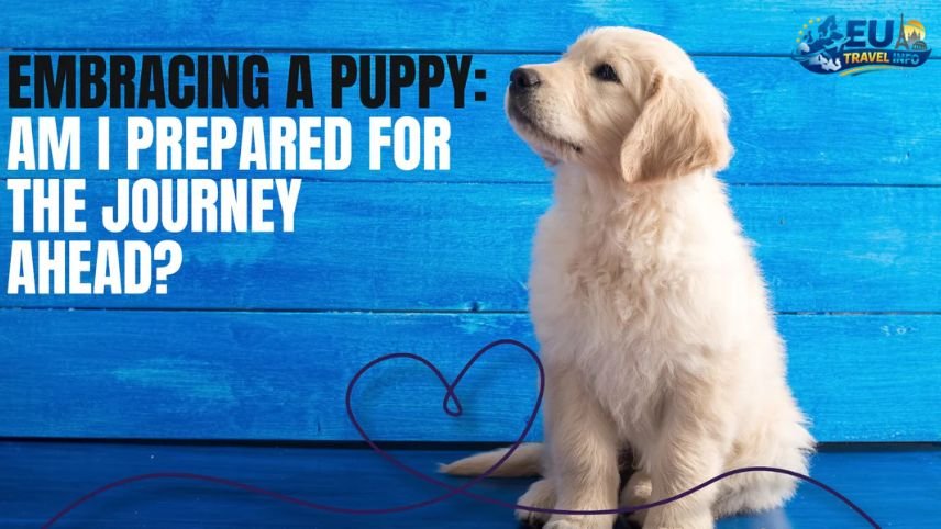 First of all, you must prepare for the journey