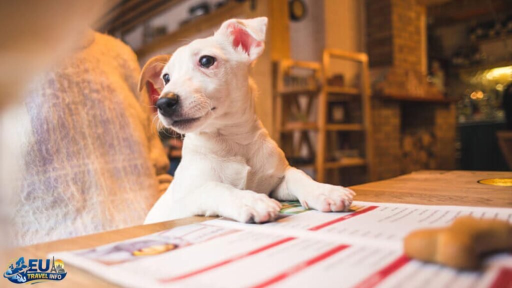 First things first: The paperwork you need