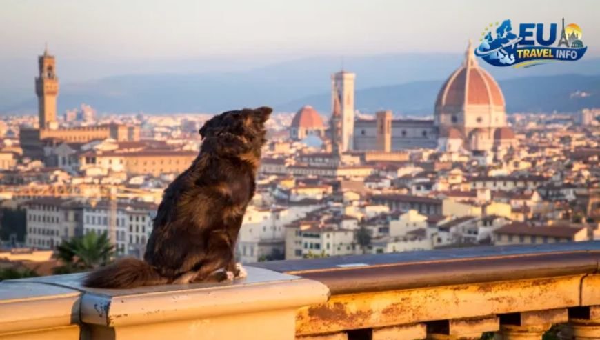 Florence A Feast for Six Legs dog