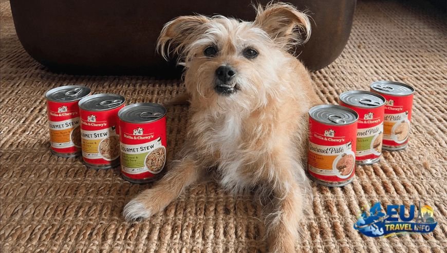 Food, Drinks, and Shopping dog