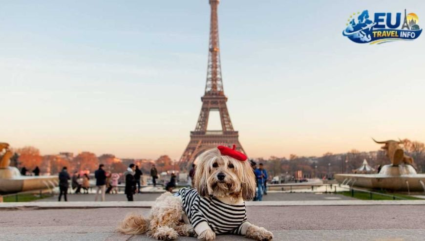 France The City of Dog Love
