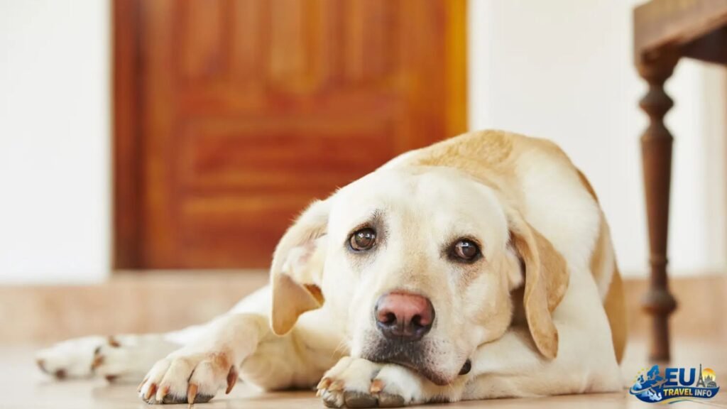 Getting Ready The Boring But Important Stuff