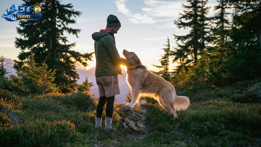 Getting Started with Your Pet Adventure