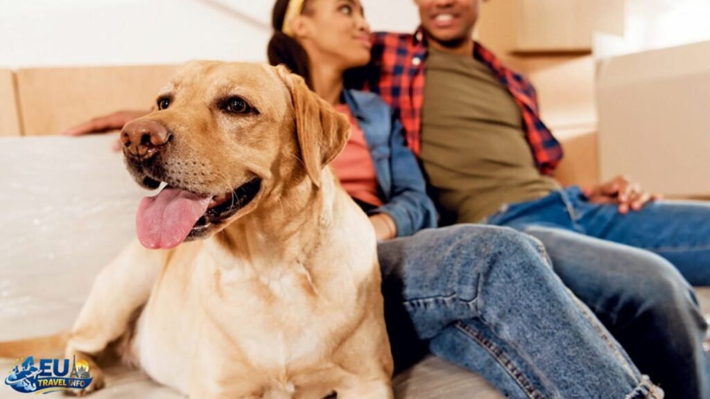 Getting There and Moving Around