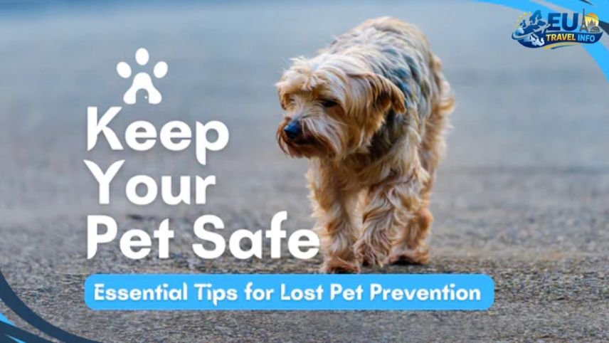 Getting There and Safety