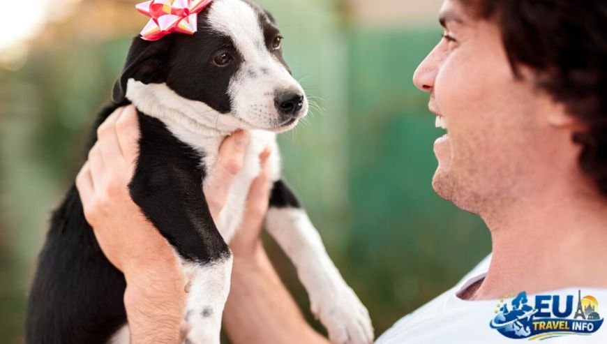Getting to Haarlem with Your Furry Friend