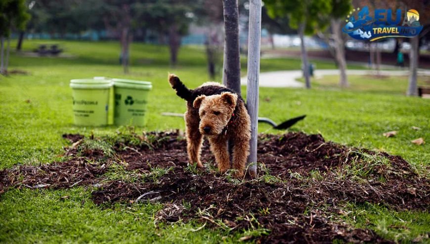 Green Escapes Parks and Playgrounds dog