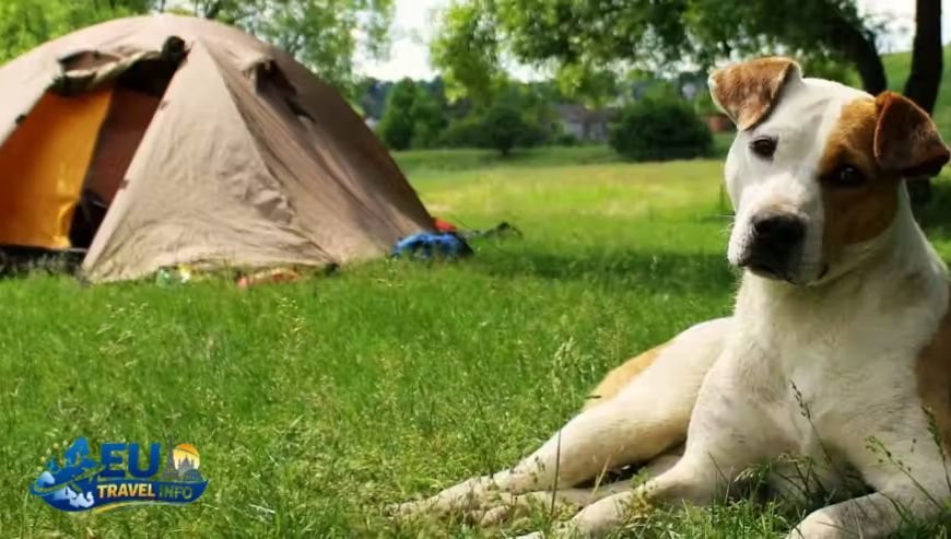 Guide to Dog Friendly Campsites in Northern and Southern Italy