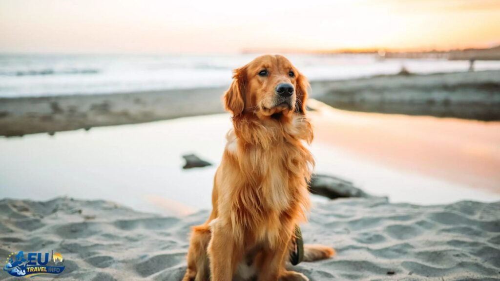 Hamburg: Maritime Charm