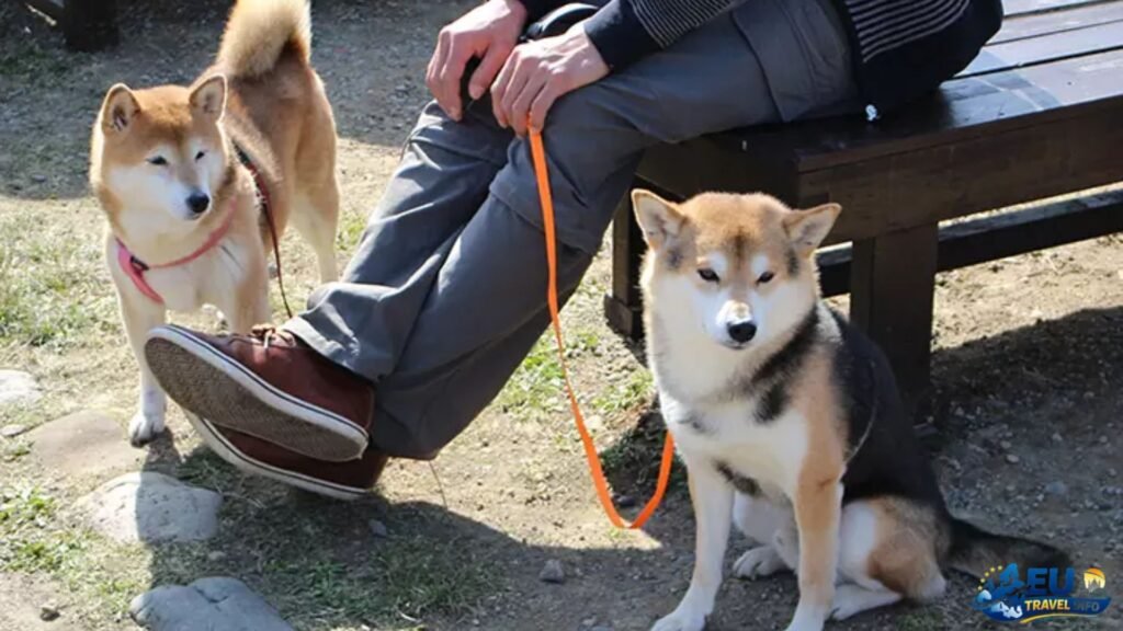 Health and Safety Abroad