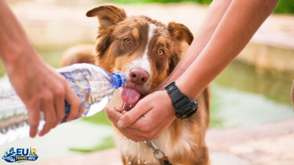 Health and Safety: Beating the Heat