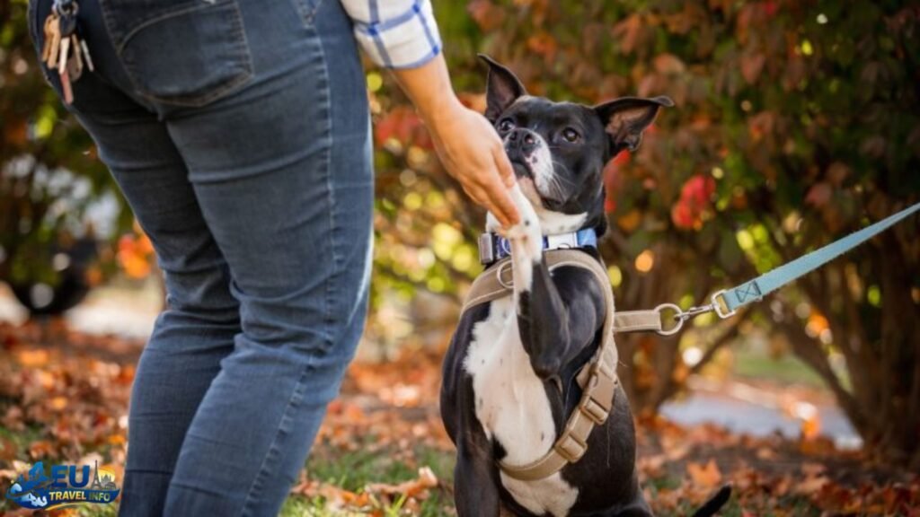 Helpful Tips for Success