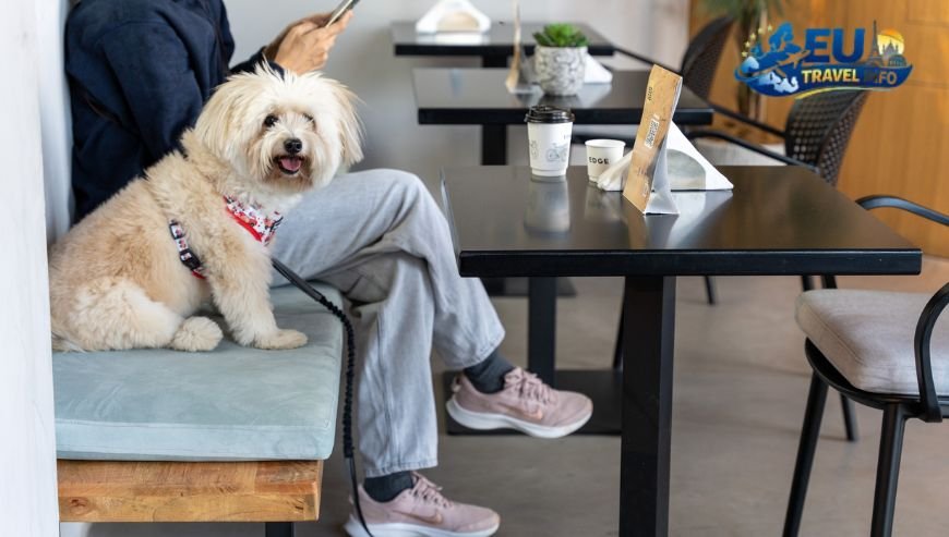 Hidden Gems and Cozy Cafes dog