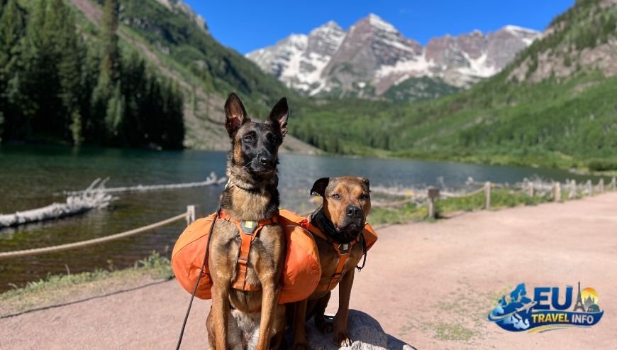 Hiking Trails and Hidden Lakes dog