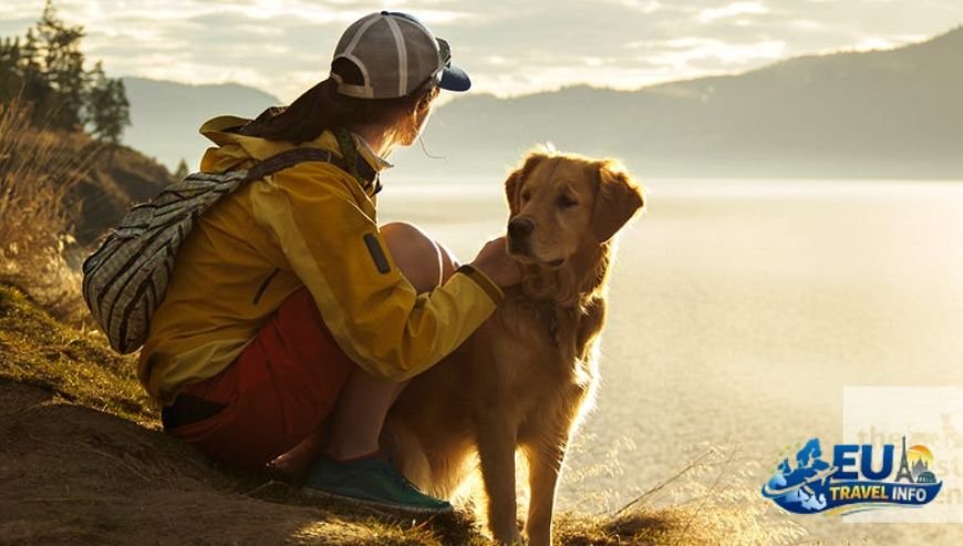 Hiking and High Views dog