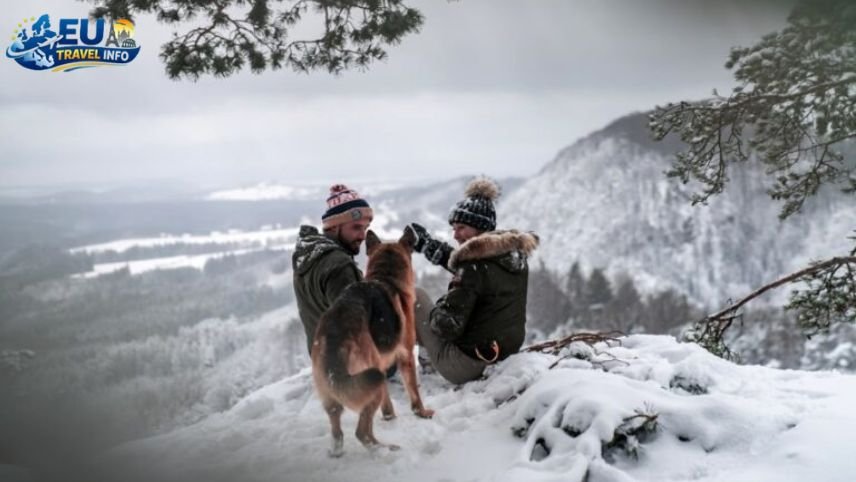 Hiking in Bohemian Switzerland dog