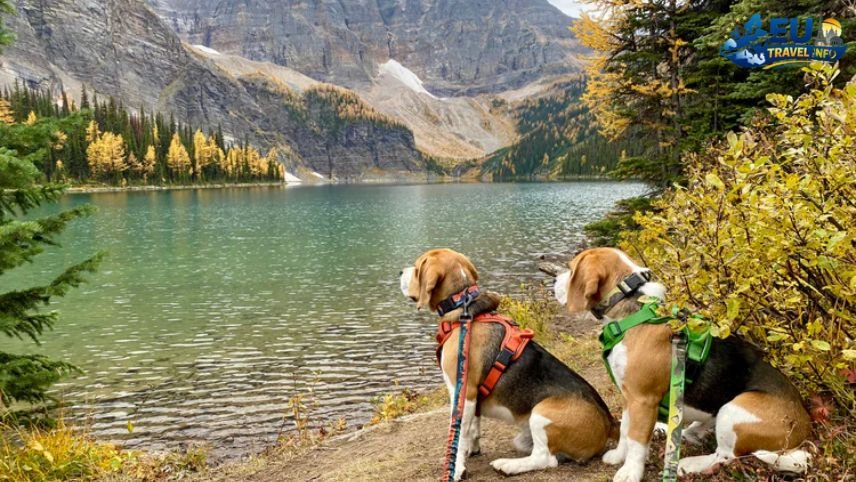 Hiking in the Sharr Mountains
