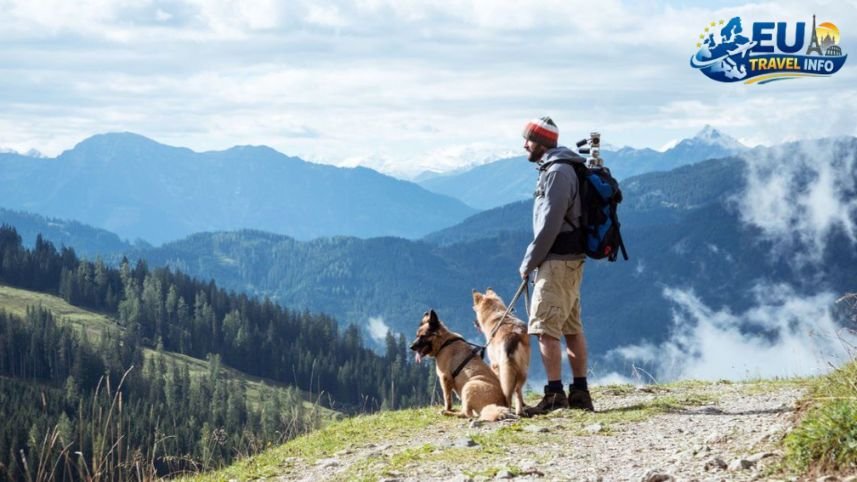 Hiking the Trails of Zlatibor dog