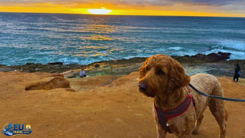 How to Fly Across the Ocean