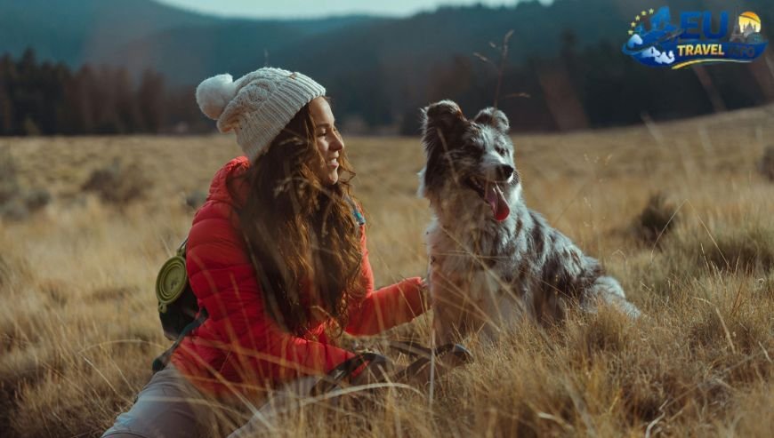 How to Get Around with Your Furry Friend