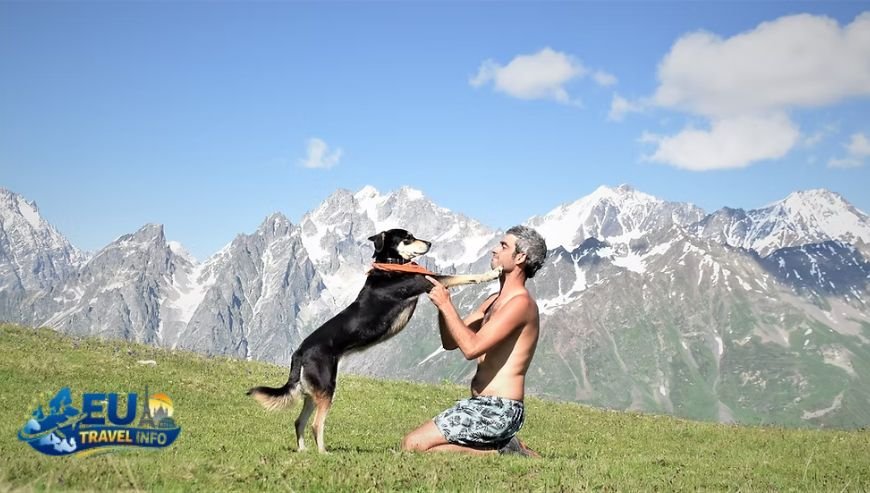 How to Get Your Pet into Armenia