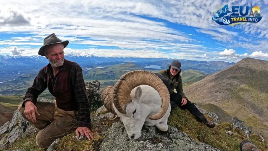 Hunting for the Midday Feast