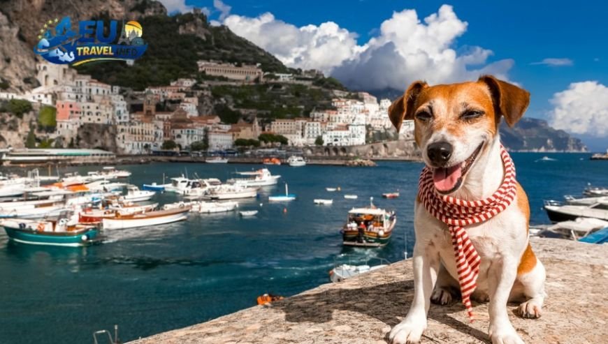 I Prepare My Dog for the Italian Summer