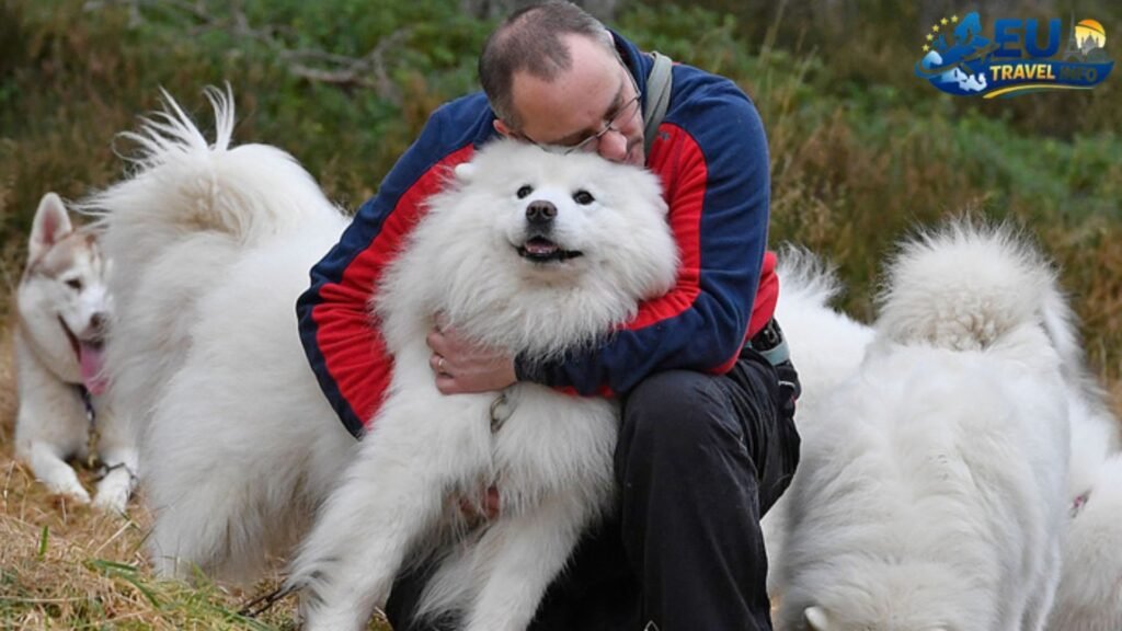 Is Belarus Friendly to Pets and People