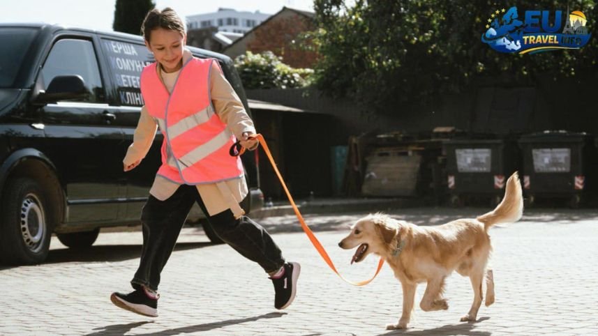 Is Lviv Worth Visiting Right Now dog