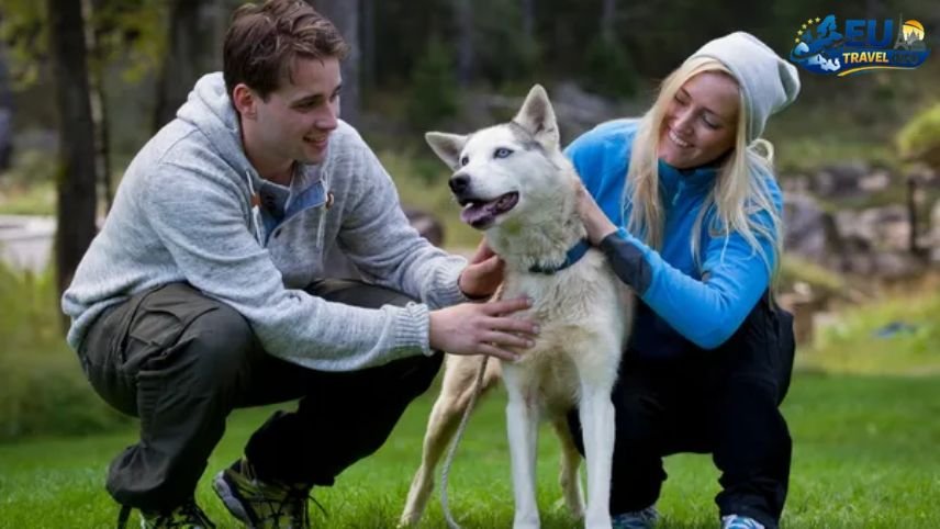 Is Norway Dog Friendly