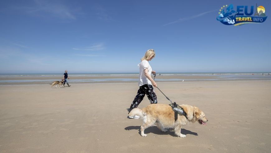 Koksijde and Oostduinkerke Dunes and Freedom dog