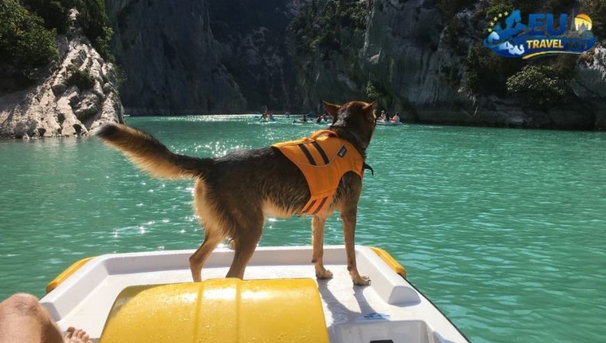 La Croix du Vieux Pont, France dog
