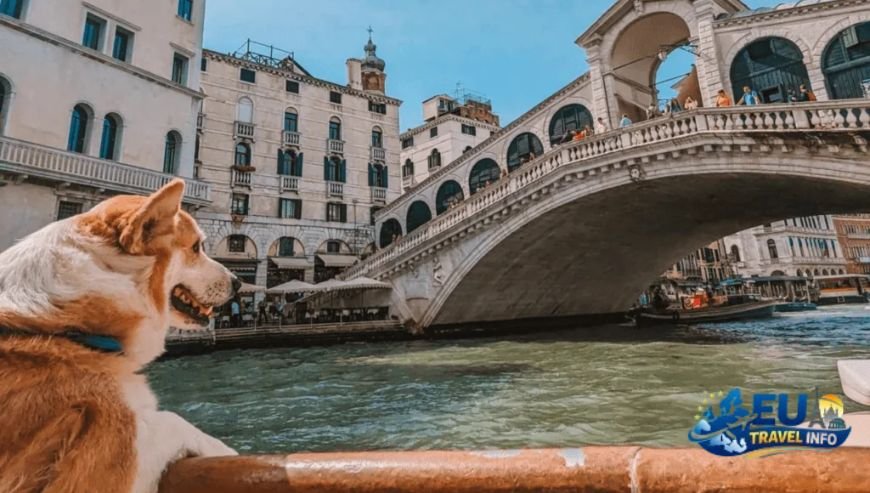 Lake Como Luxury by the water dog