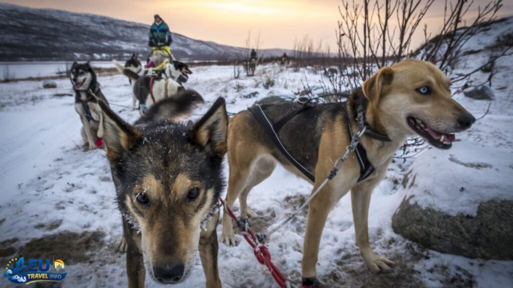 Lapland: The Arctic Frontier