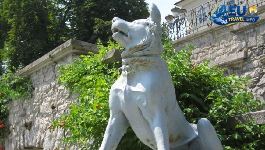 Ljubljana Castle History and Views dog