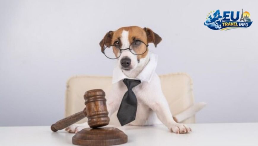 Local rules and regulations dog