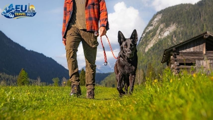 Long Adventures and Local Rules in Seefeld dog