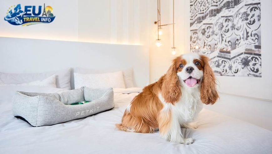 Luxury Dog Friendly hotels europe