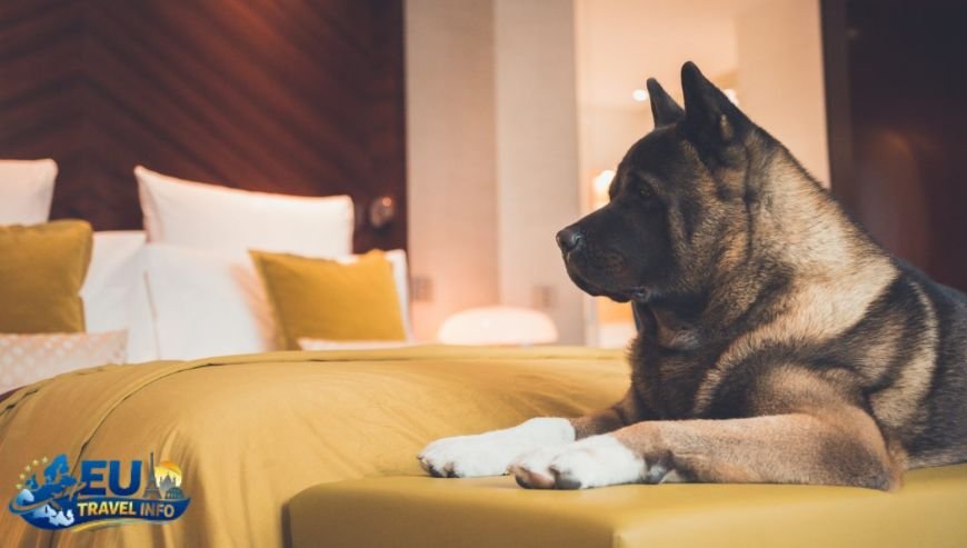 Mandarin Oriental, Paris – France dog