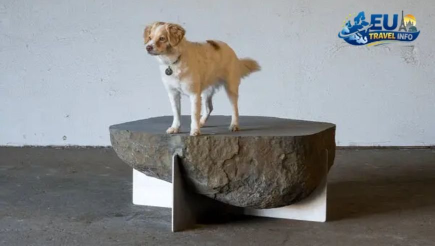 Milan Fashion and Five-Star Dining dog