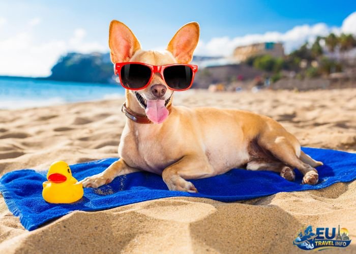 Most Dog-Friendly Beaches in Europe
