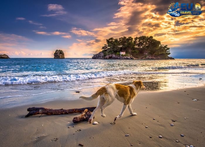 Most Pet-Friendly Destinations & Regions in Europe