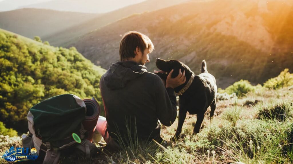 Nature and Hikes in Wallonia