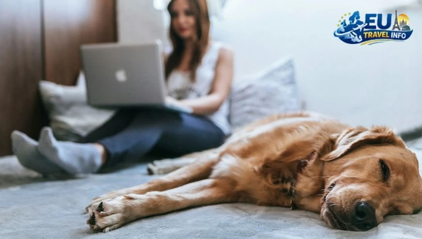 Negotiating with Landlords Know Your Rights dog