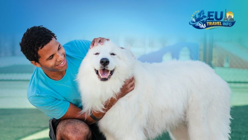 Nice The Gateway to Pet Paradise