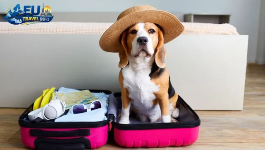 Nirvana Mediterranean Excellence, Turkey